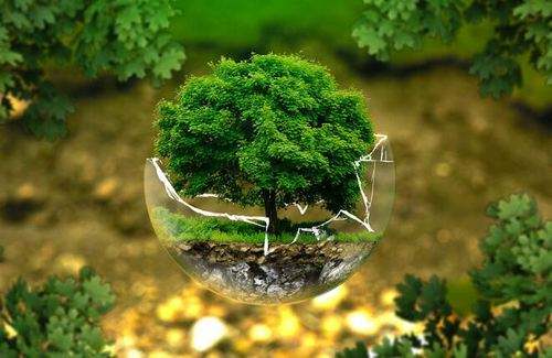 怎樣實(shí)施科學(xué)的環(huán)保管理？
