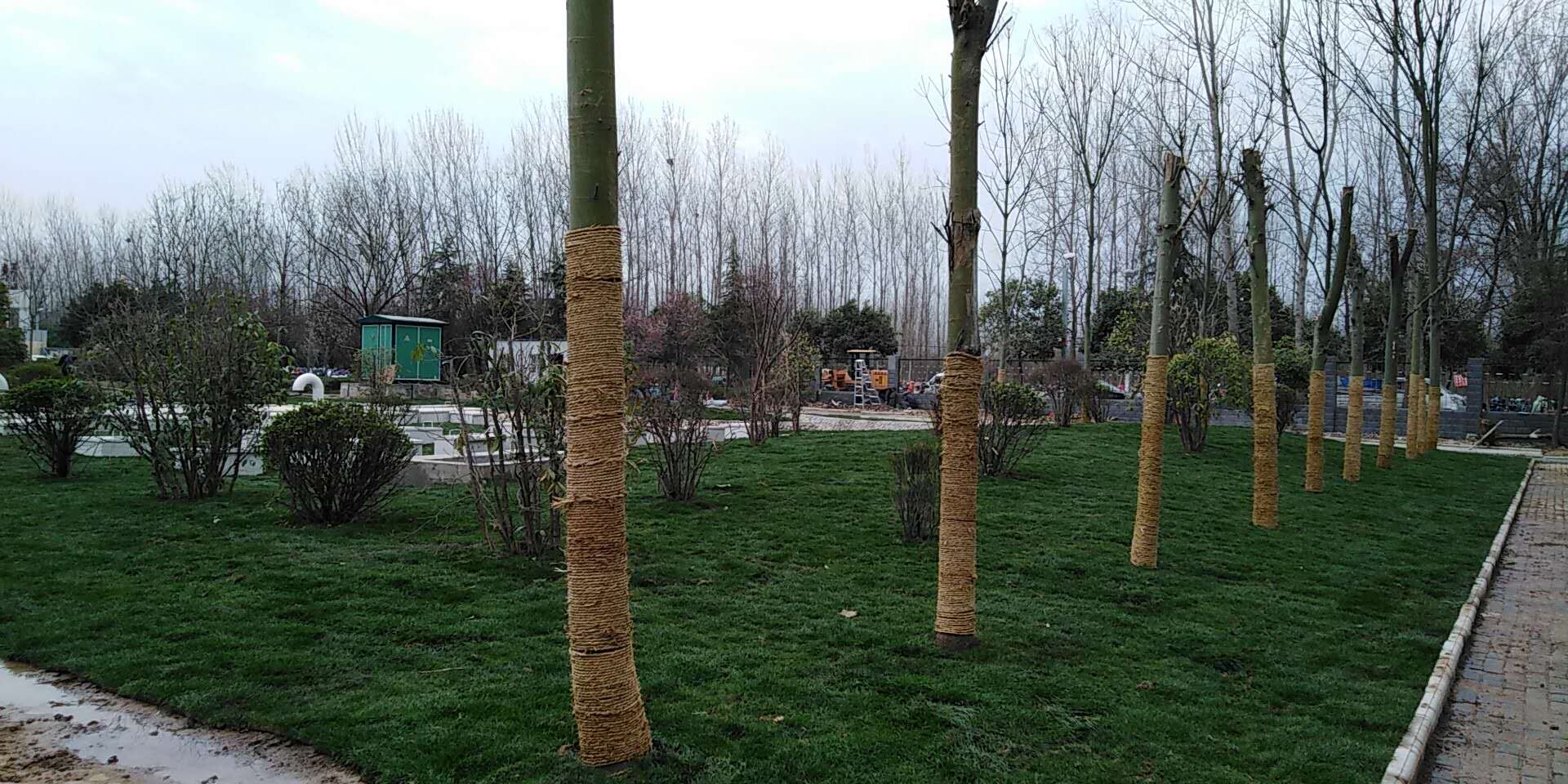 6、平輿縣一高地埋式污水處理2